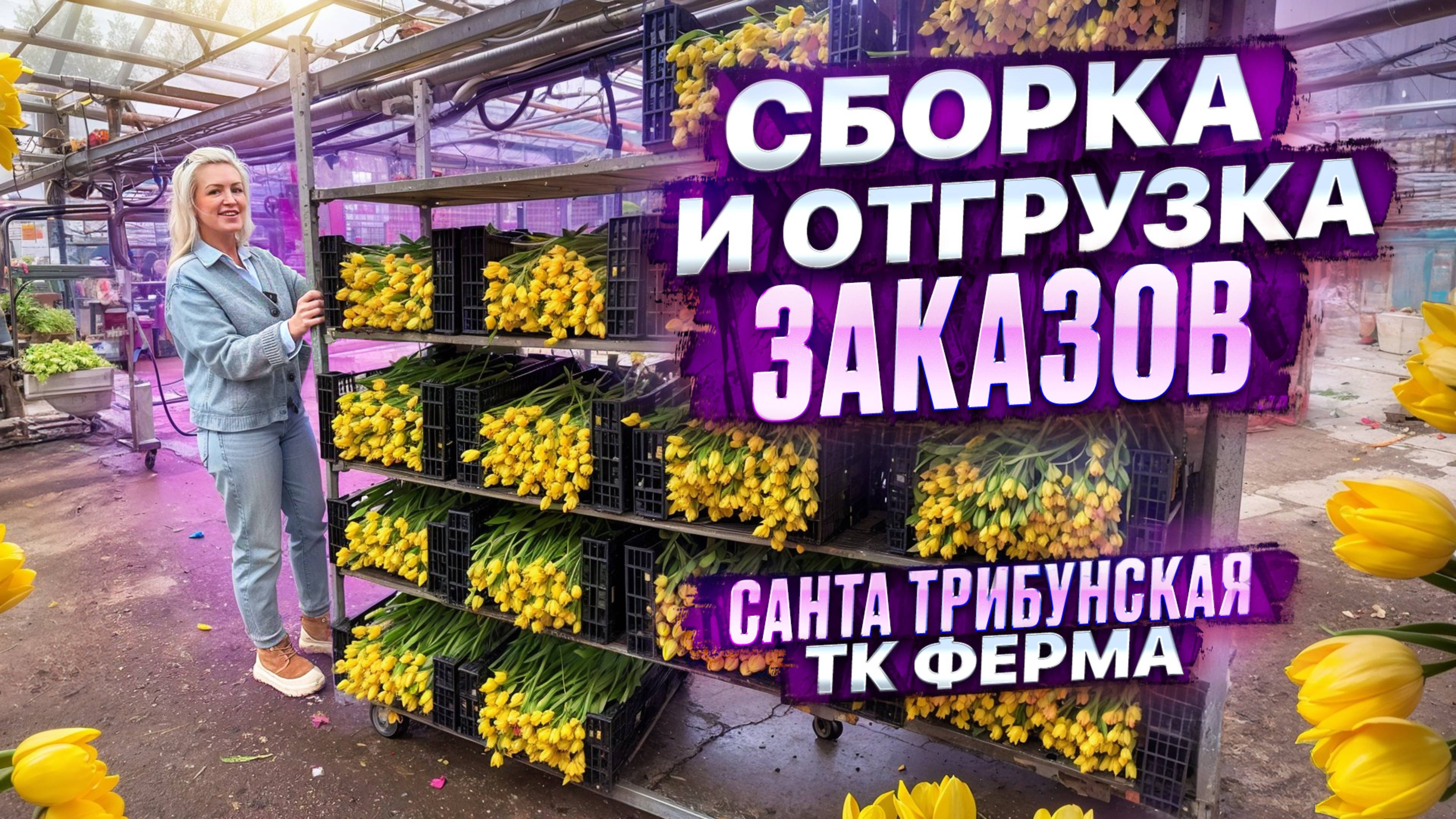 СБОРКА И ОТГРУЗКА РАННИХ ЗАКАЗОВ