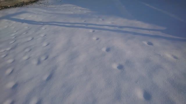 НАСЫПАЛО СНЕГА! ОТКРЫЛА СВОЙ ОГОРОДНЫЙ СЕЗОН!!!