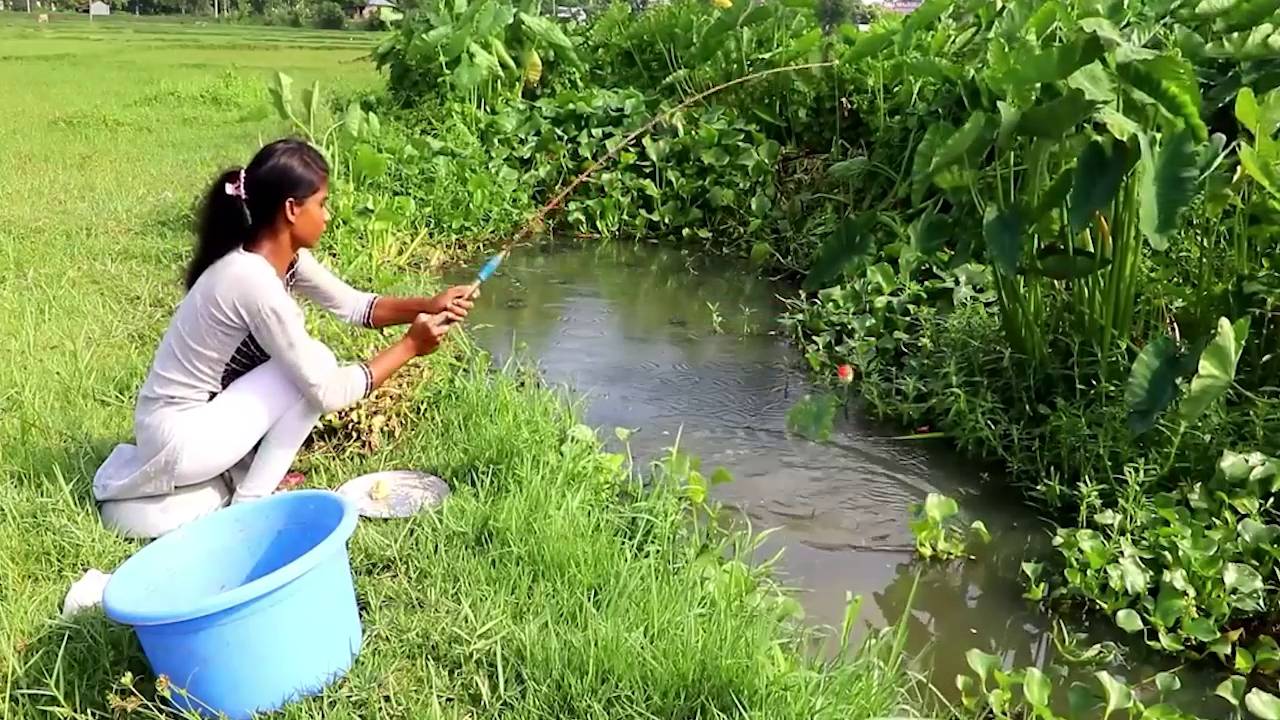 Красивые деревенские девушки любят ловить рыбу на поплавок Видео о рыбалке