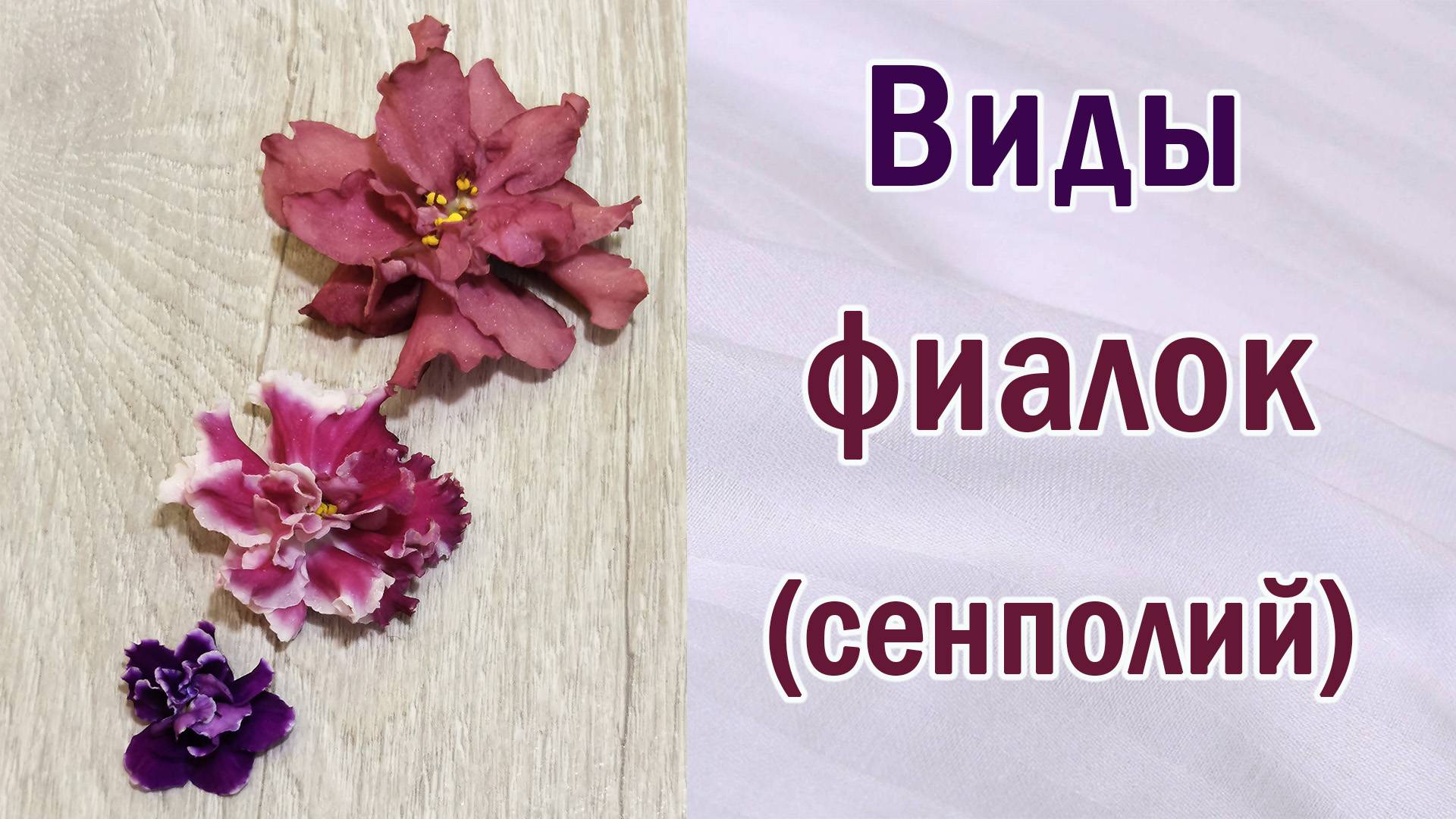 Не спешите! Разберитесь. Не всё является браком. Виды фиалок ( сенполий ).