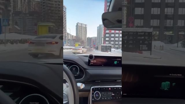 Отзыв клиента о Genesis