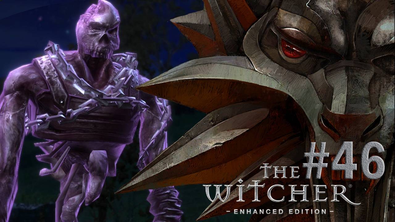 Прохождение Ведьмак. Азартный призрак #46