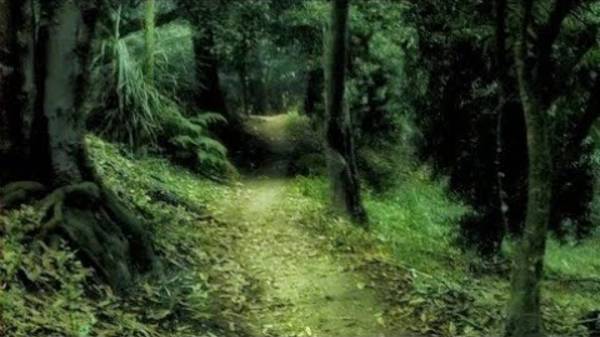 ВЕЛИКИЙ ОБЕРЕГ ЗЕМЛИ...МАТУШКИ...ДЛЯ ВСЕХ...