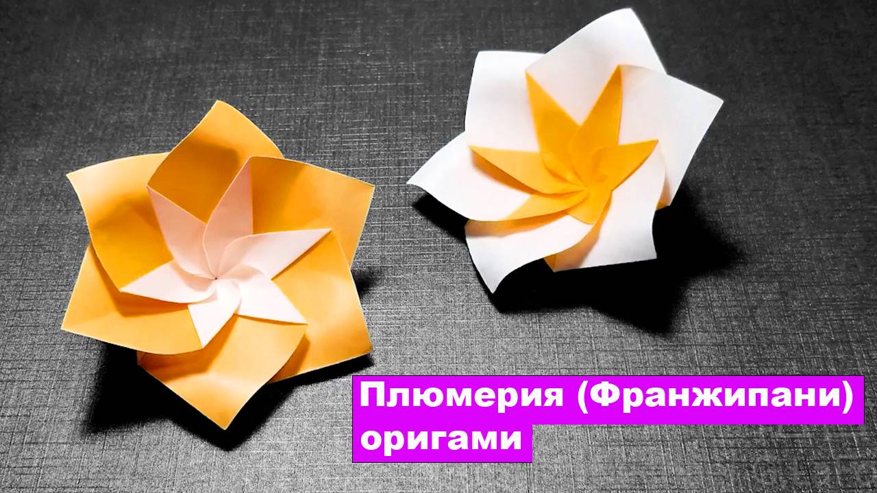 Оригами цветок Плюмерия (Франжипани) из бумаги. Оригами цветы из бумаги