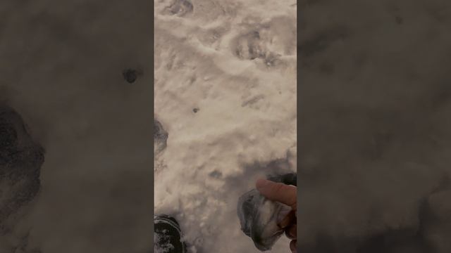 Бойкая какая