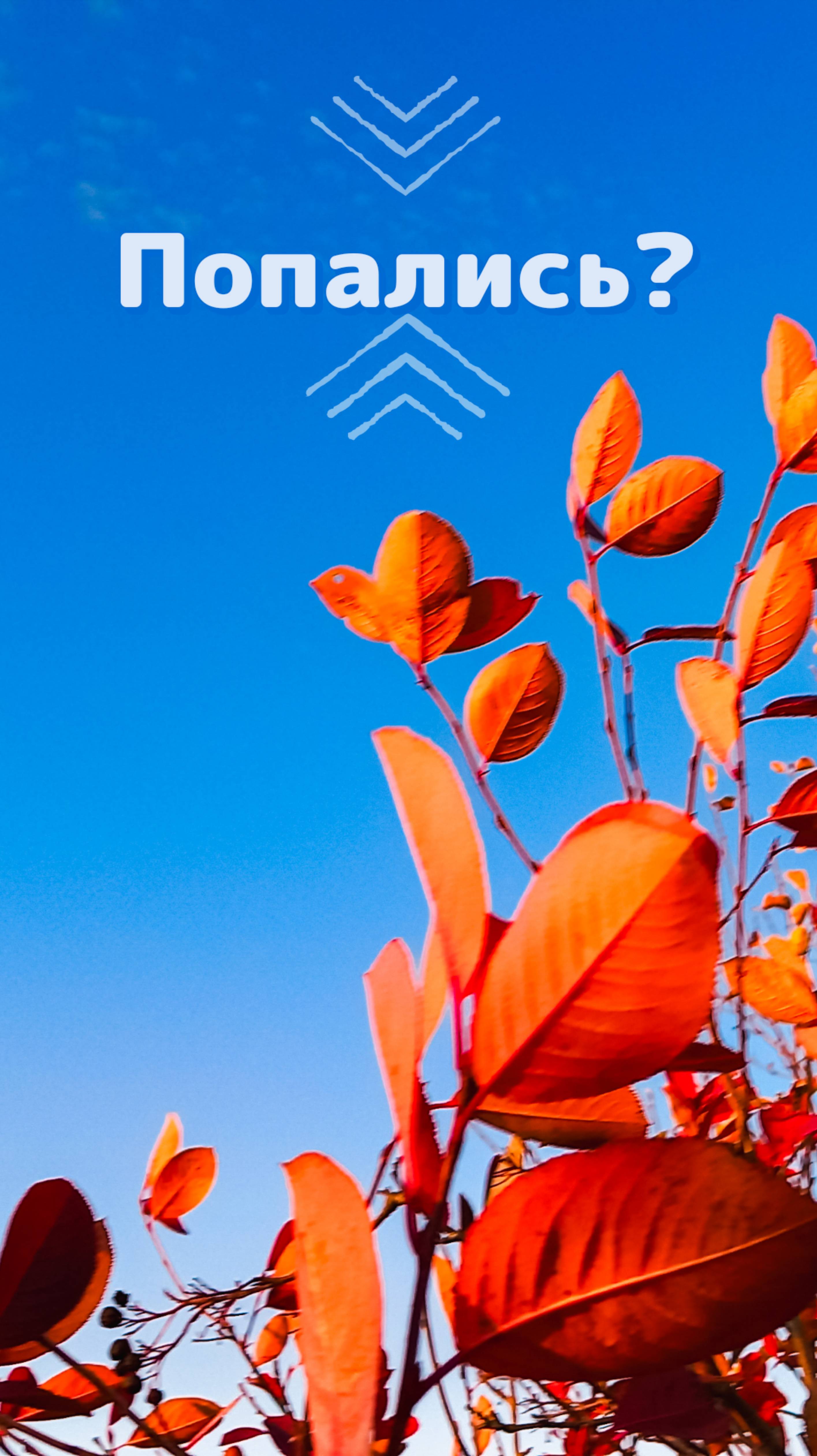 Кисточкой жмяк #shorts