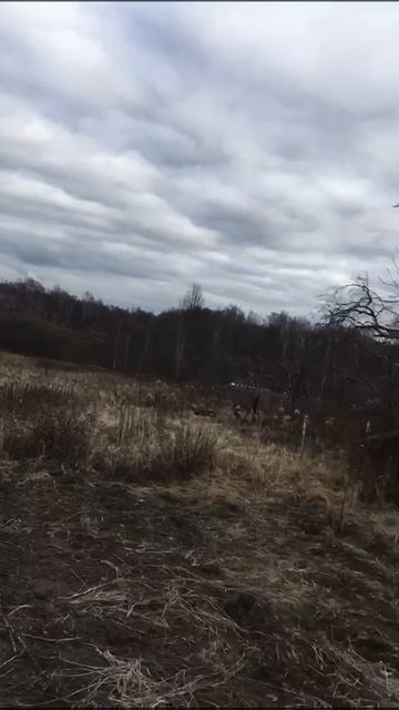 Путешествуйте выгодно

rosbillet.ru