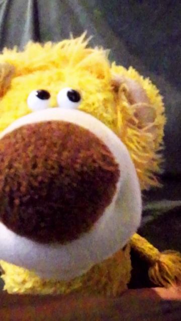 Лев Василий