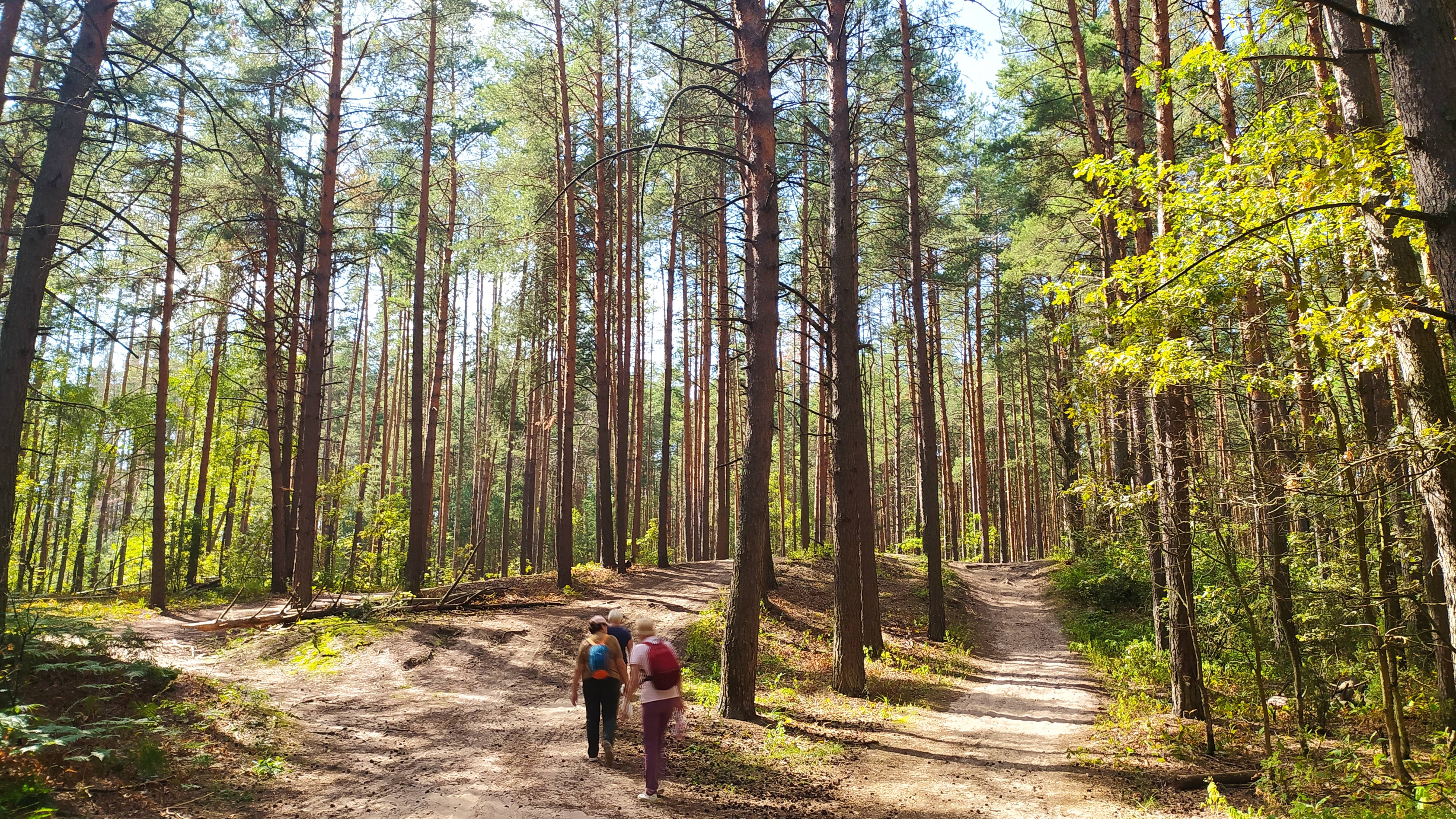 3 Солотча. Август 24
