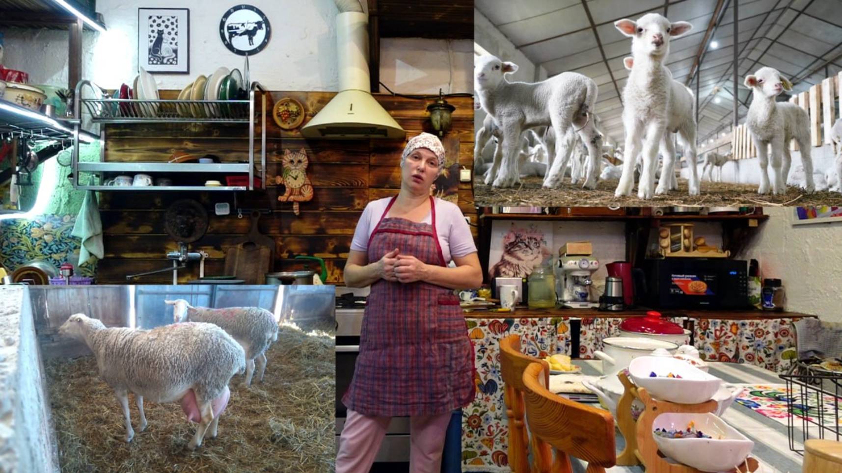 НАШИ ЛАКОНЧИКИ РОДИЛИСЬ🐐🐐🐐