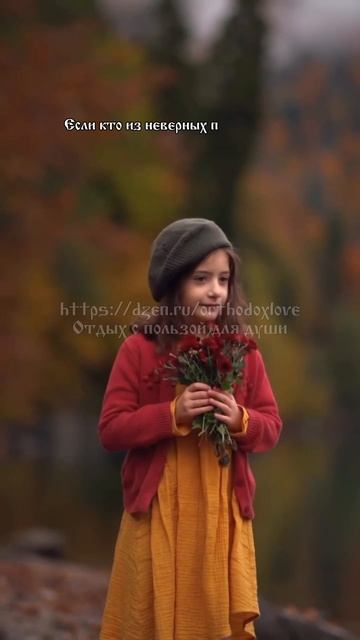 Послания Апостола Павла. Всё мне позволительно, но не всё полезно