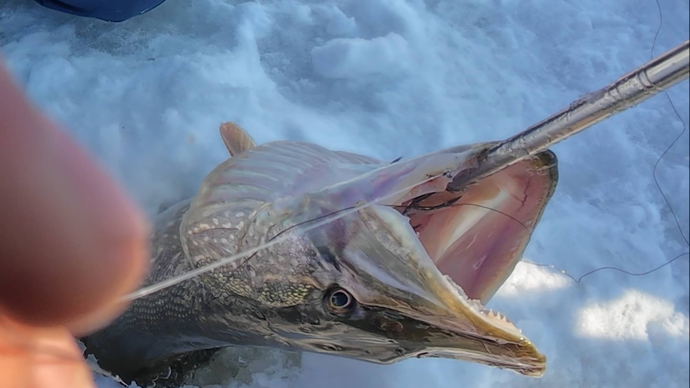 Река метрушка подарила нам трофея
