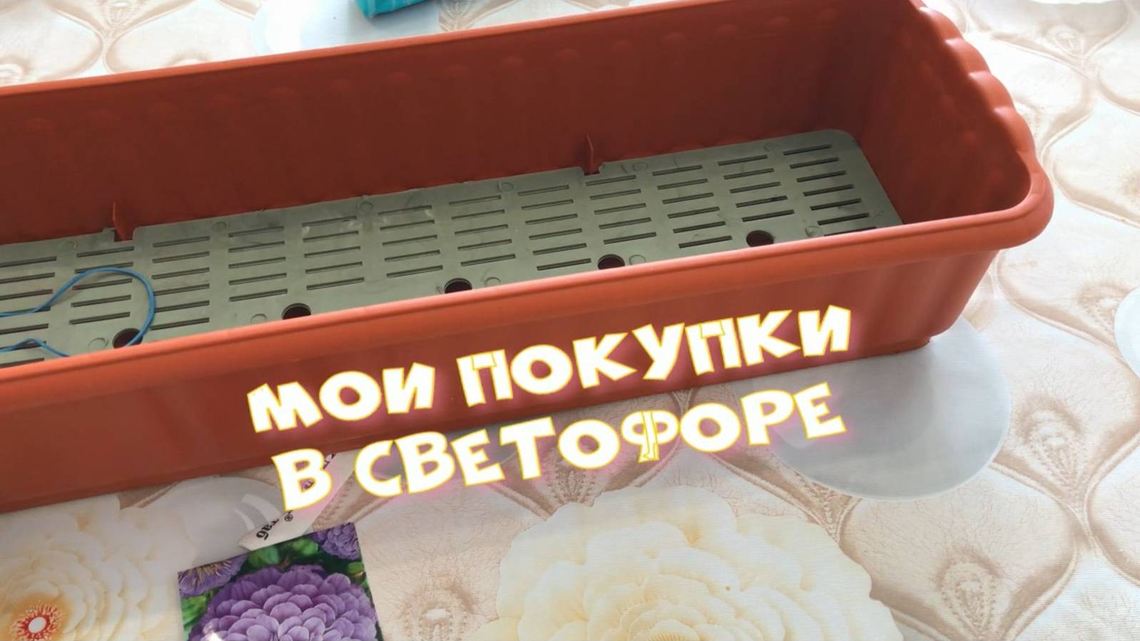 Мои покупки в «Светофоре», магазин «Садовод». Для сада и огорода и немного семян.