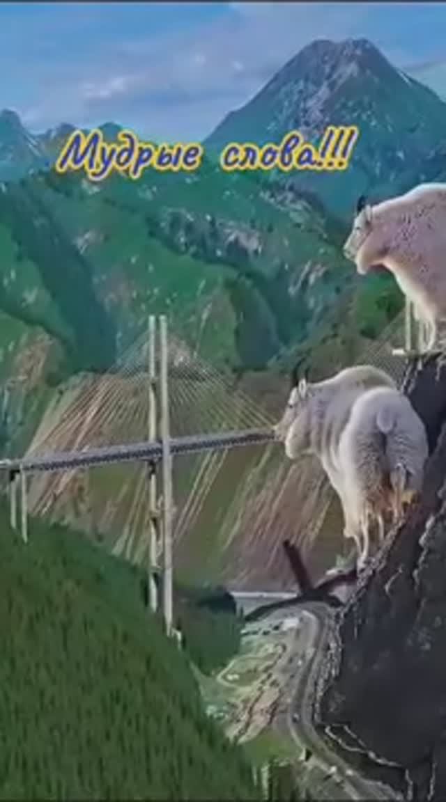 Мудрые слова!