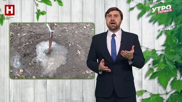 Растения в конце зимы | ПРО ЦВЕТ