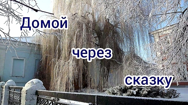 Зимнее волшебство