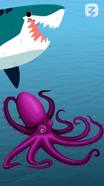 Осьминог - одно из умнейших животных