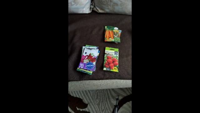 1 марта сеем семена на рассаду (1)