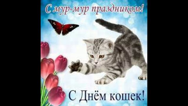 Кошкин день.