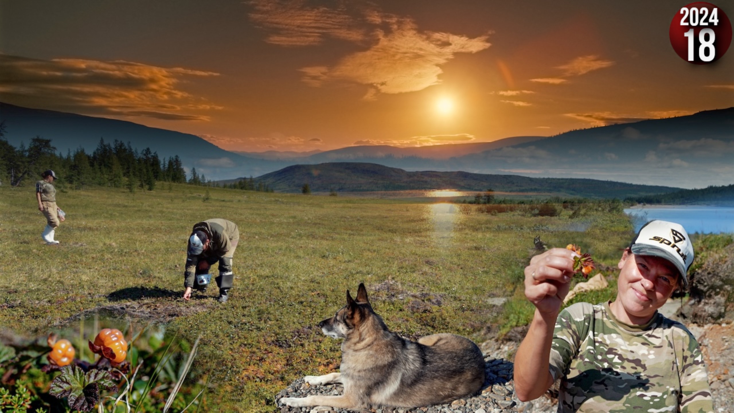 Таёжная жизнь. Банный день 18+. Ловим рыбу. Собираем морошку и делаем варенье. Хариус под шубой. 18с