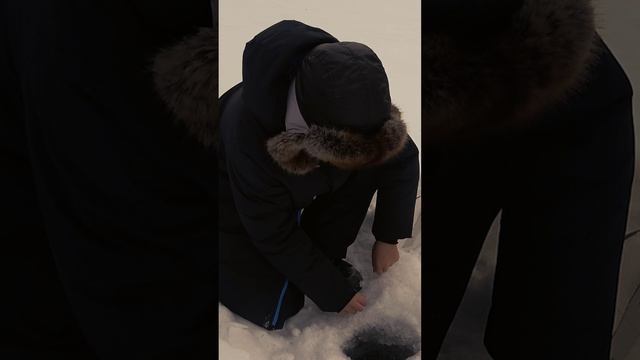 Секу милый мой