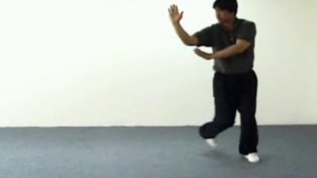 04 Лунсин линчжан