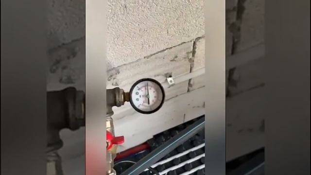 Самарская область, с.Кривая Лука