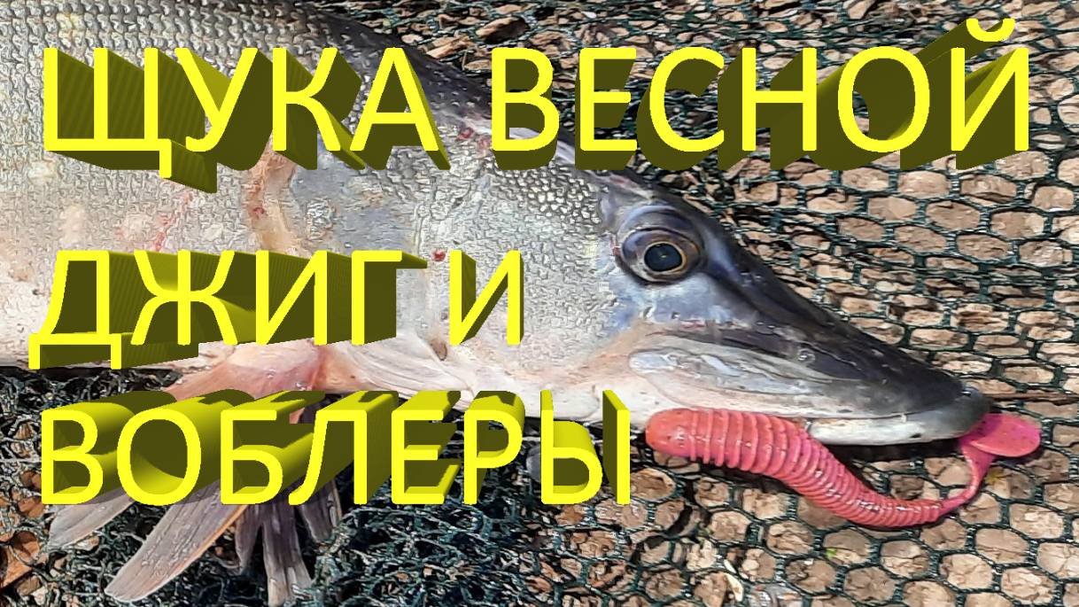 🔥 Рыбалка весной. ЩУКА на ВОБЛЕРЫ и ДЖИГ. На что клюнет пассивная щука по холодной воде? 🔥
