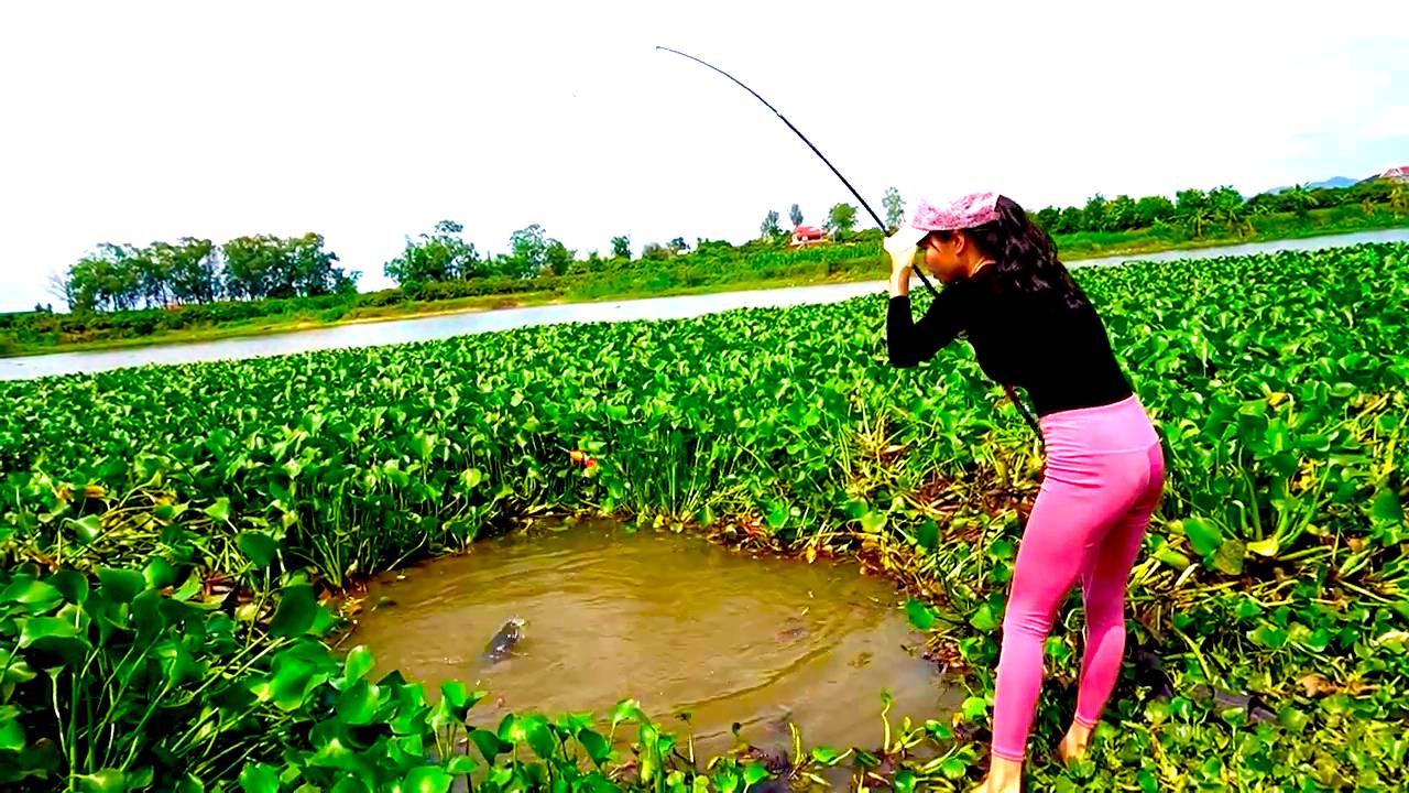 Рыбалка Красивая девушка охотится и ловит крупную рыбу в болоте Классная рыбалка Мужские Хобби