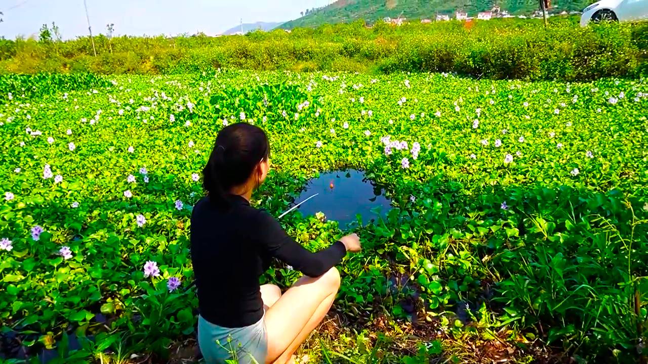 Рыбалка Красивая девушка охотится и ловит крупную рыбу сома в болоте Классная рыбалка Мужское Хобби