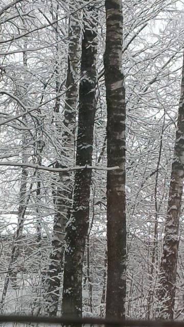 С Масленицей! 🌺