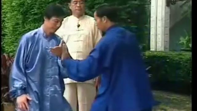 00 дань туйшоу цзибэньгун тайцзицюань