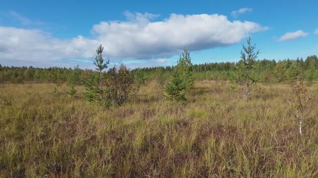 Вино из клюквы