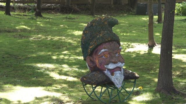 Палдиски фото часть 3