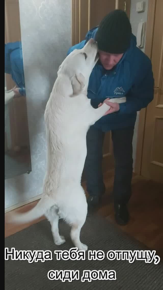 Никуда тебя не отпущу, сиди дома.