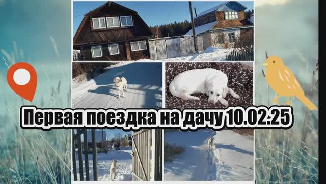 Первая поездка на дачу 10.02.25