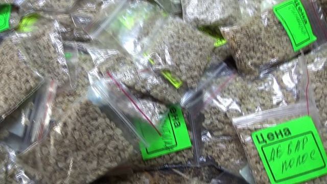 Провожу замену архива семян. Все эти семена раздам своим заказчикам