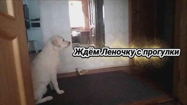Ждём Леночку с прогулки 04.01.25