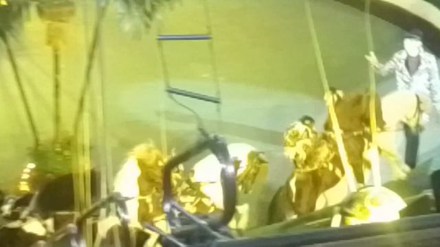 Обезьянки на пони