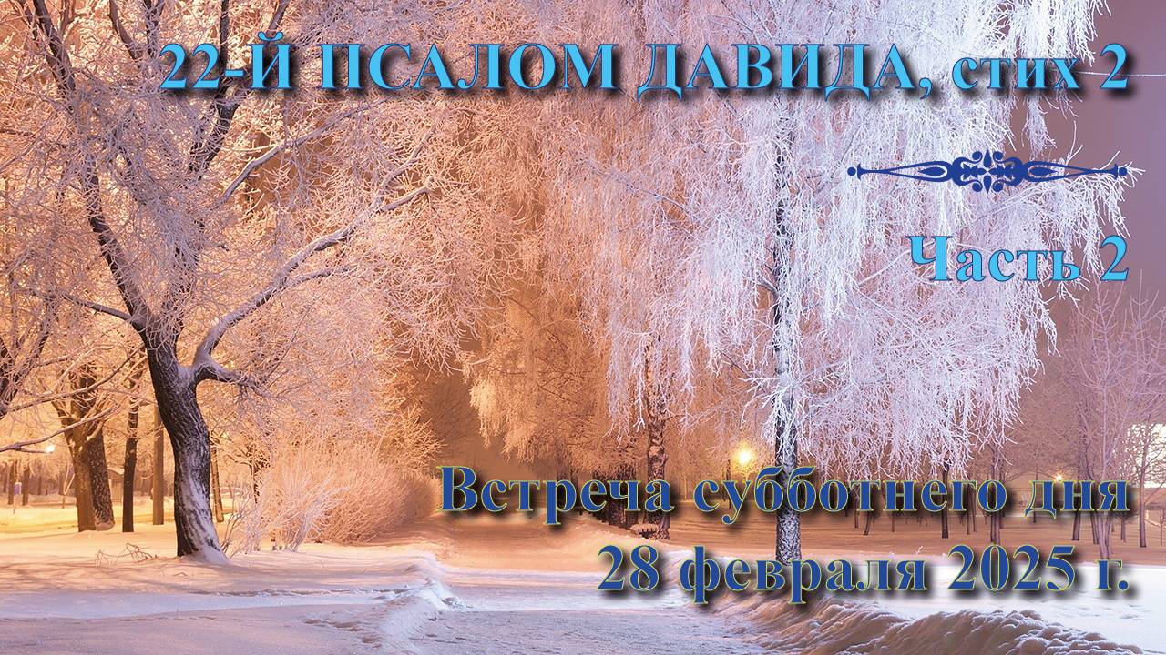28.02.2025. Встреча субботы: пастор Владимир Вачев. Встреча 2. 22-й псалом Давида, стих 2.