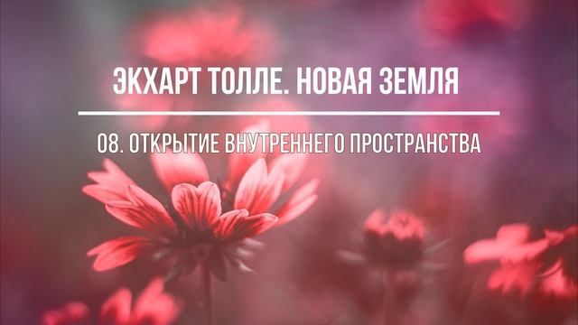 НОВАЯ ЗЕМЛЯ. Экхарт Толле. Часть 8. Аудиокнига