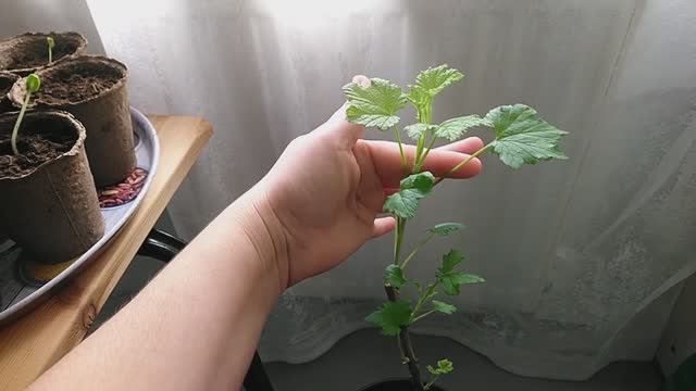 НАКОНЕЦ-ТО ВЕСНА!!! ДОБРА ВСЕМ!