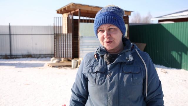 Известия. Владимир: Друзья в доме. Пес Борис