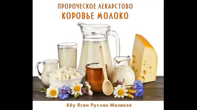 Пророческое лекарство - коровье молоко