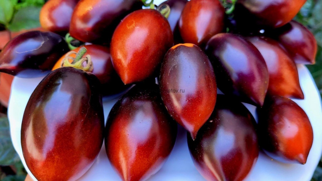 Пикируем перцы из вермикулита по стаканчикам. 
Большой посев томатов для закрытого грунта.