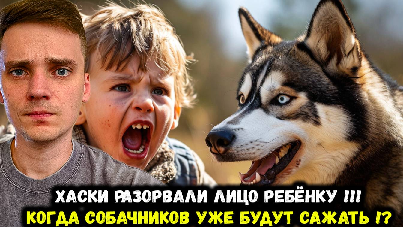 Собачники привели к трагедии