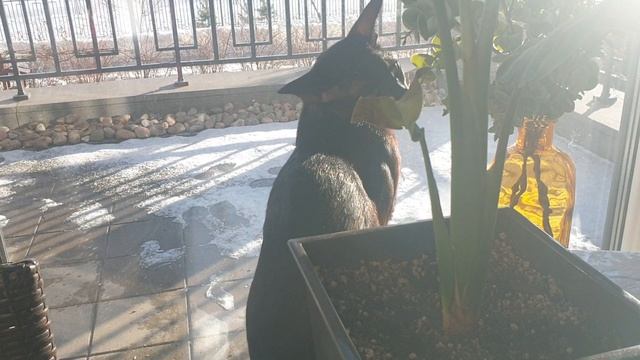 2024 Новый год