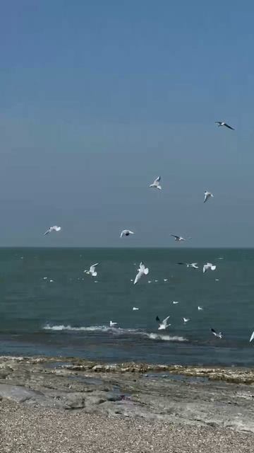 Наслаждение морской природой 🌊🌊🌊