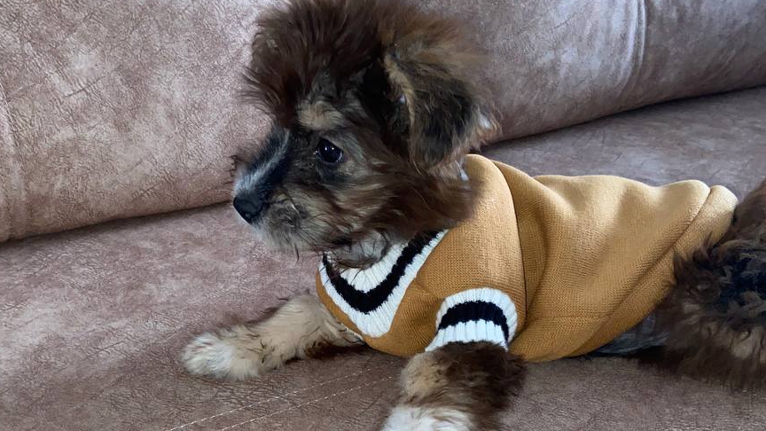 05-03-2025 МАЙЯ МОДНИЦА