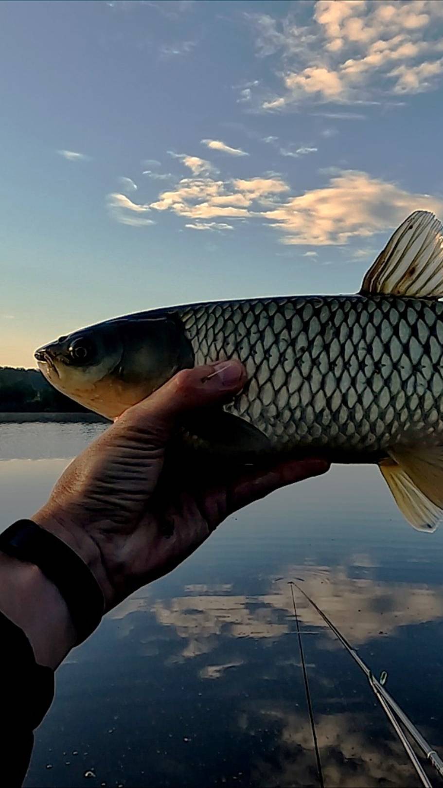 Рыбалка туманным утром